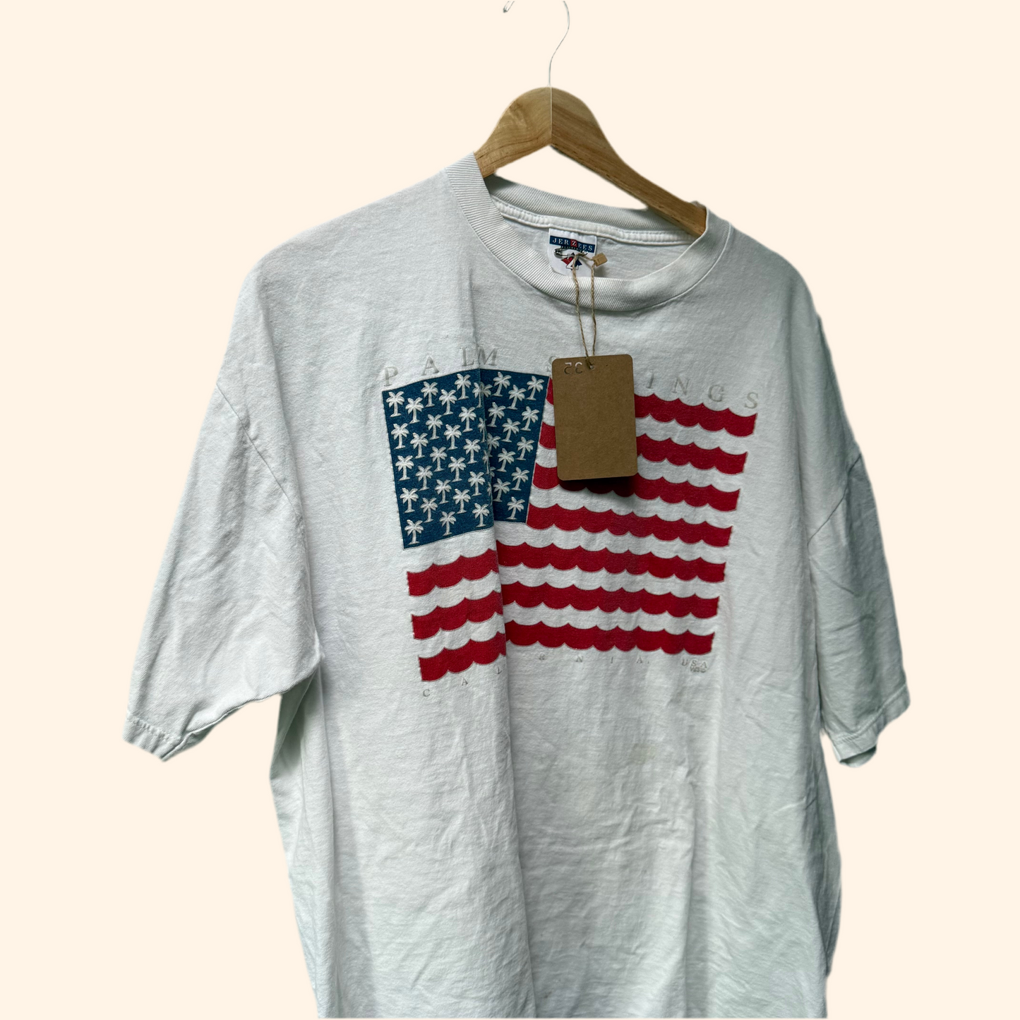 palm springs graphic tee
