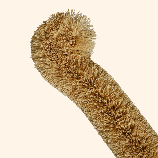 coconut bottle brush