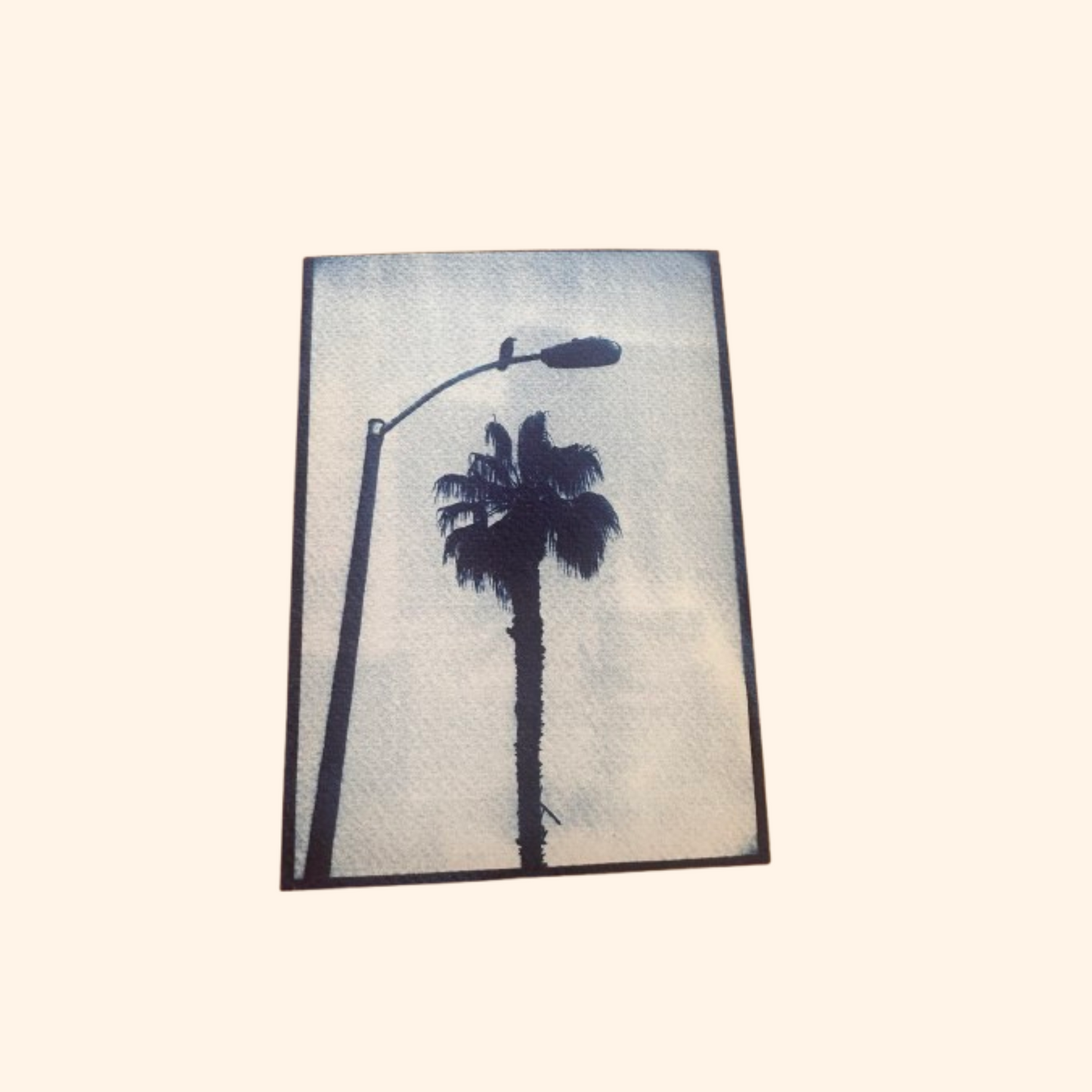 greeting card cyanotype