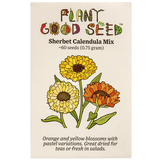 sherbet calendula flower