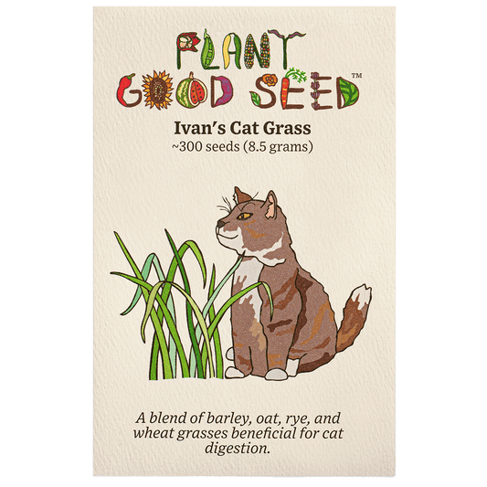 ivan’s cat grass