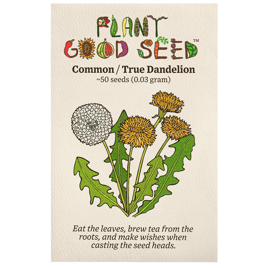 true wild/common dandelion