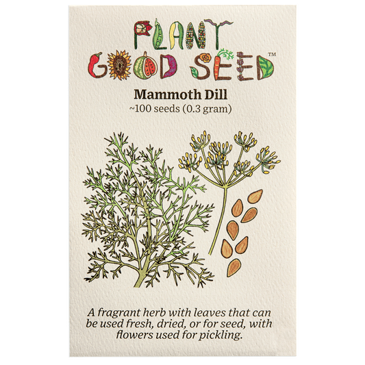 mammoth dill