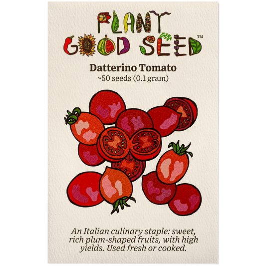 sweet datterino tomato