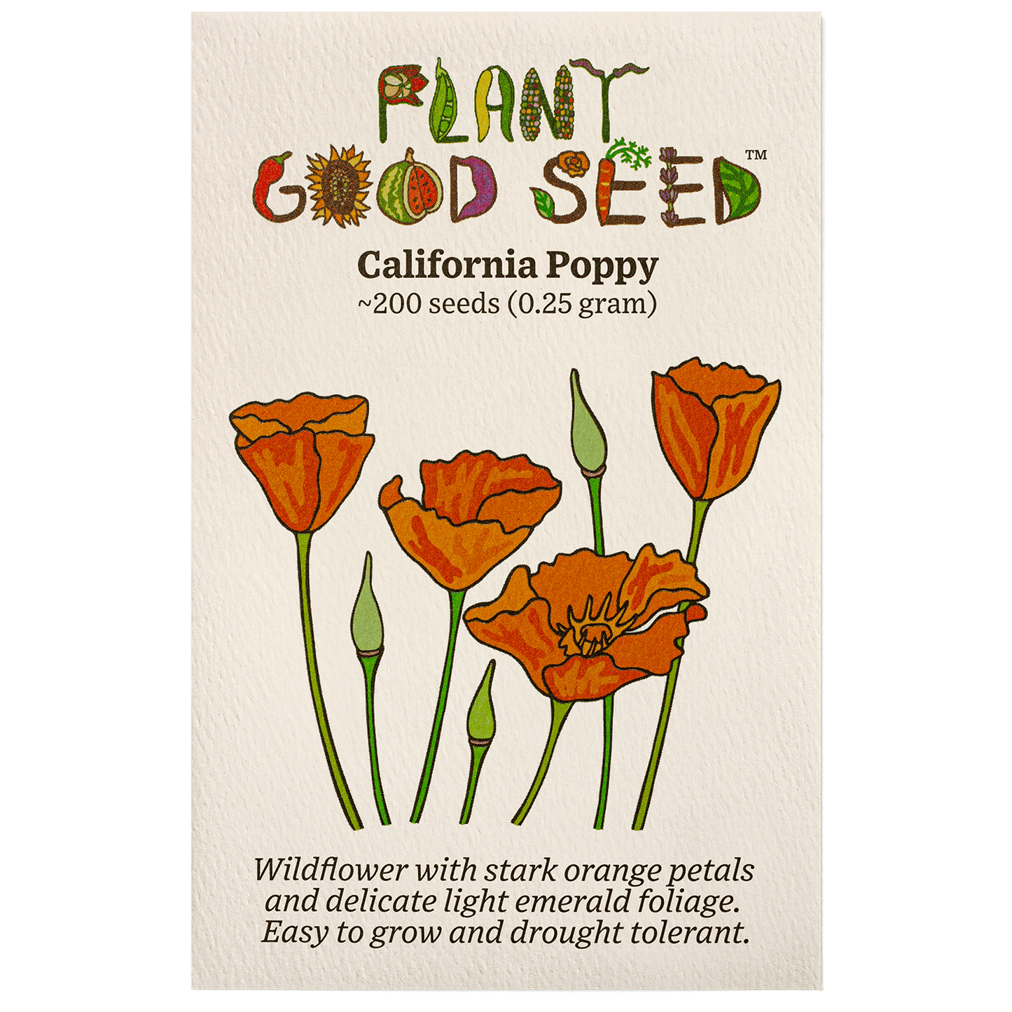 california poppy