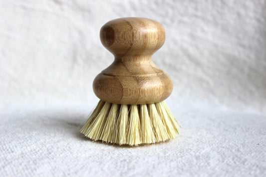dishwashing and vegetable scrubber