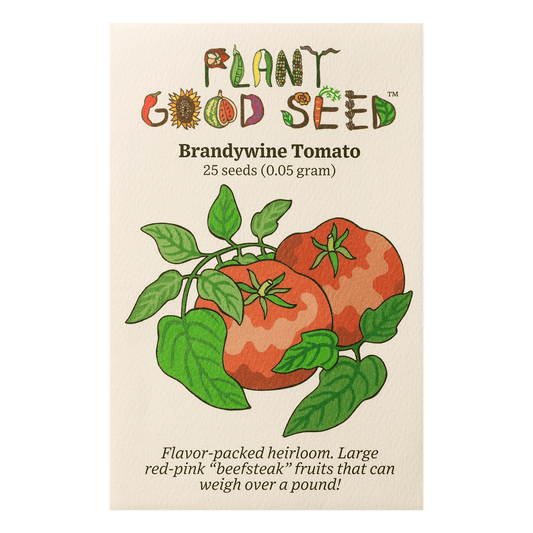 brandywine tomato