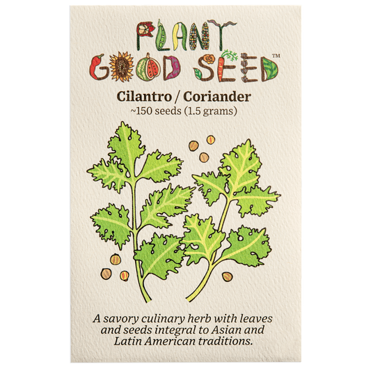 cilantro / coriander