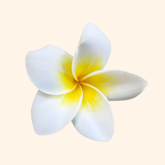 plumeria linen + room spray