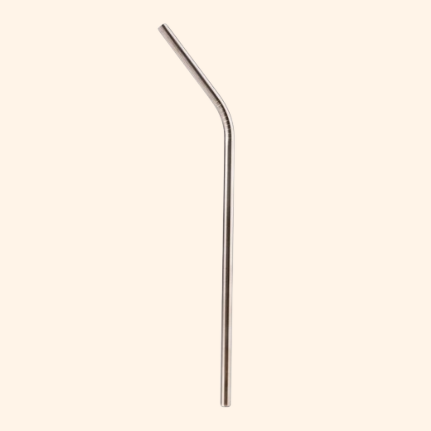 stainless steel straw