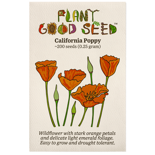 california poppy