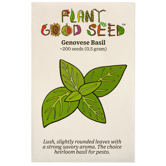 genovese basil
